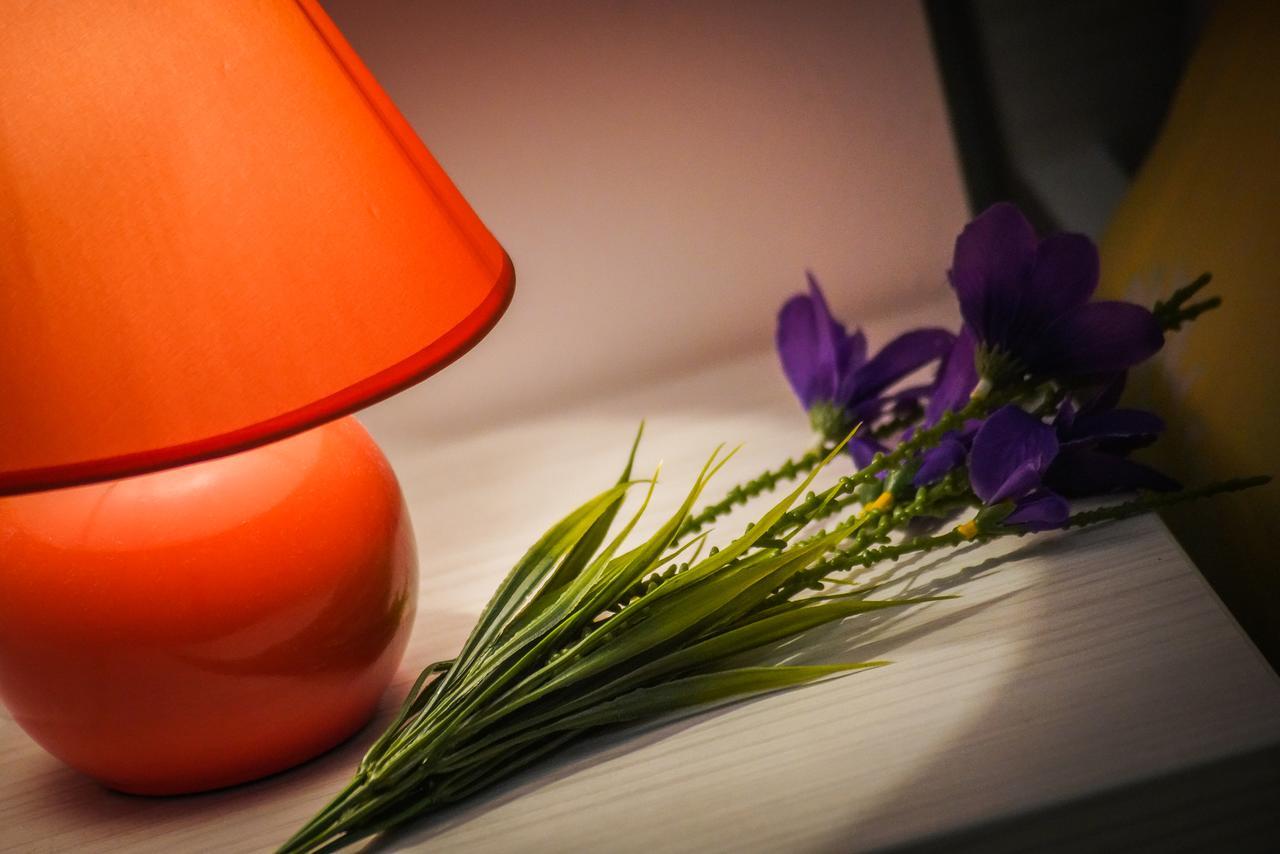 Apartments Grepo Sljeme マカルスカ エクステリア 写真